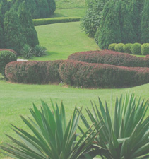 网络ddos攻击软件