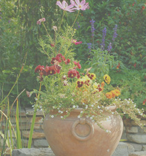 实实在在好用的cc攻击免费网页版