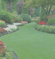 永久版不限的cc攻击免费网页版